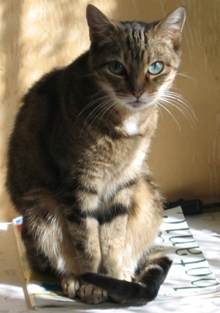 gallery/mioumioutte 2